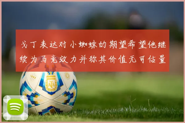 戈丁表达对小蜘蛛的期望希望他继续为马竞效力并称其价值无可估量