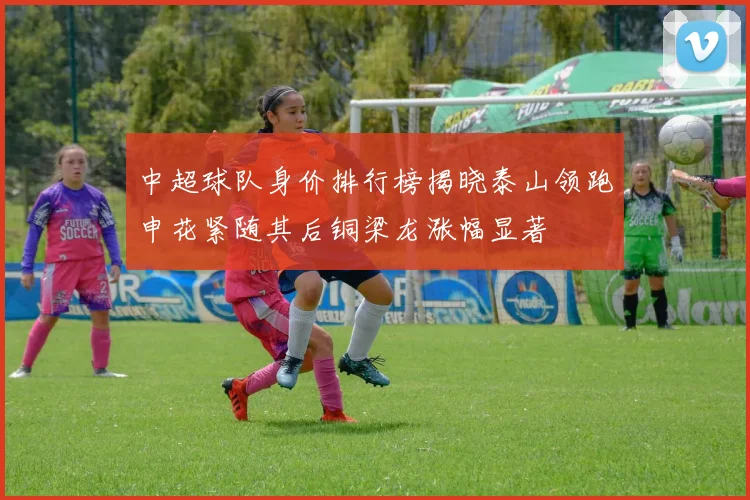 中超球队身价排行榜揭晓泰山领跑申花紧随其后铜梁龙涨幅显著